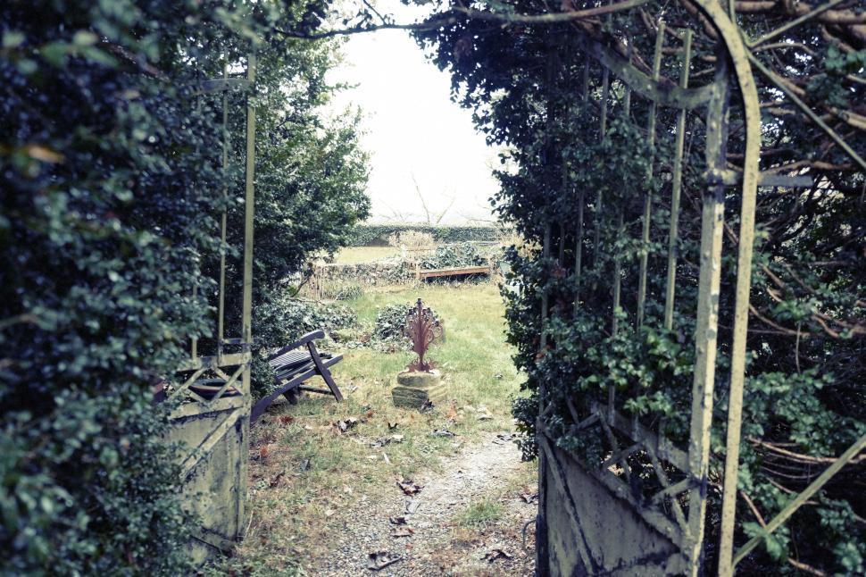 Free Image of Inviting garden pathway leading to a rustic bench and hidden spot 