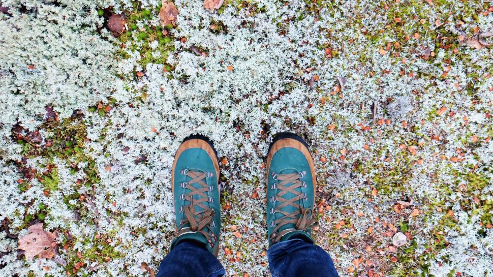 Free Image of Hiking boots on moss covered ground filled with natural textures 