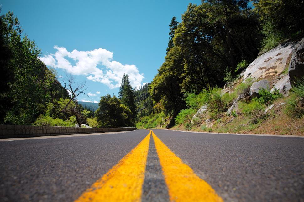 Free Image of Scenic road stretching into lush green forest under a clear blue sky. 