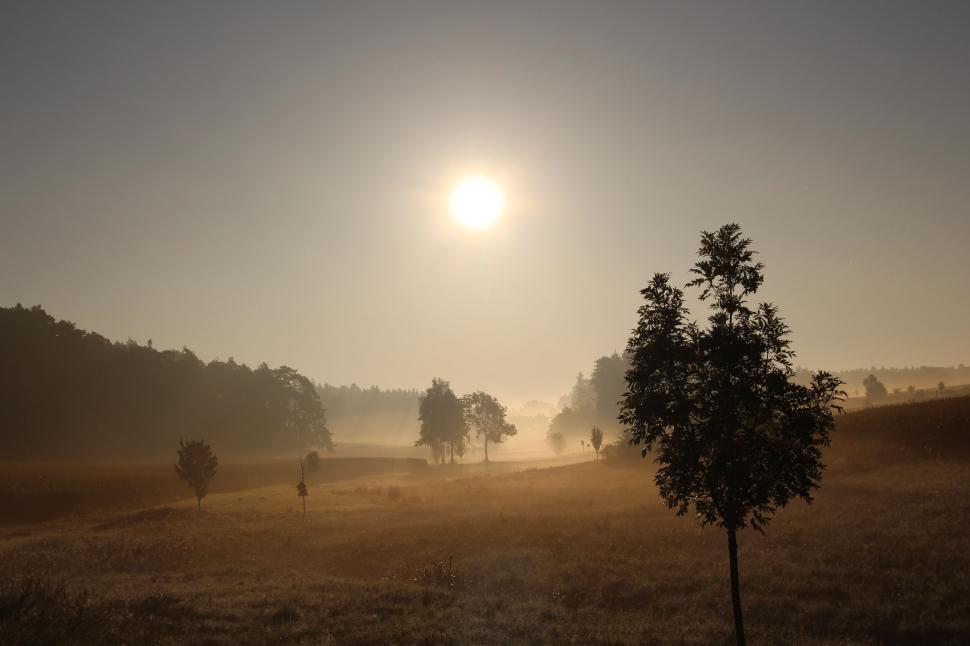 Free Image of Morning mist over a field with sunlight and distant trees. 