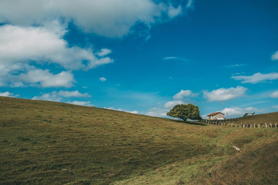 Free Image of Lone tree beside a house on a vast grassy hill under blue sky. 