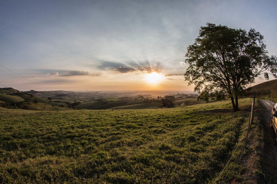 Free Image of Sunset view over the rolling countryside with a lone tree. 