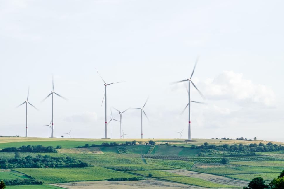 Free Image of Wind turbines in a lush green field under a clear and bright sky. 