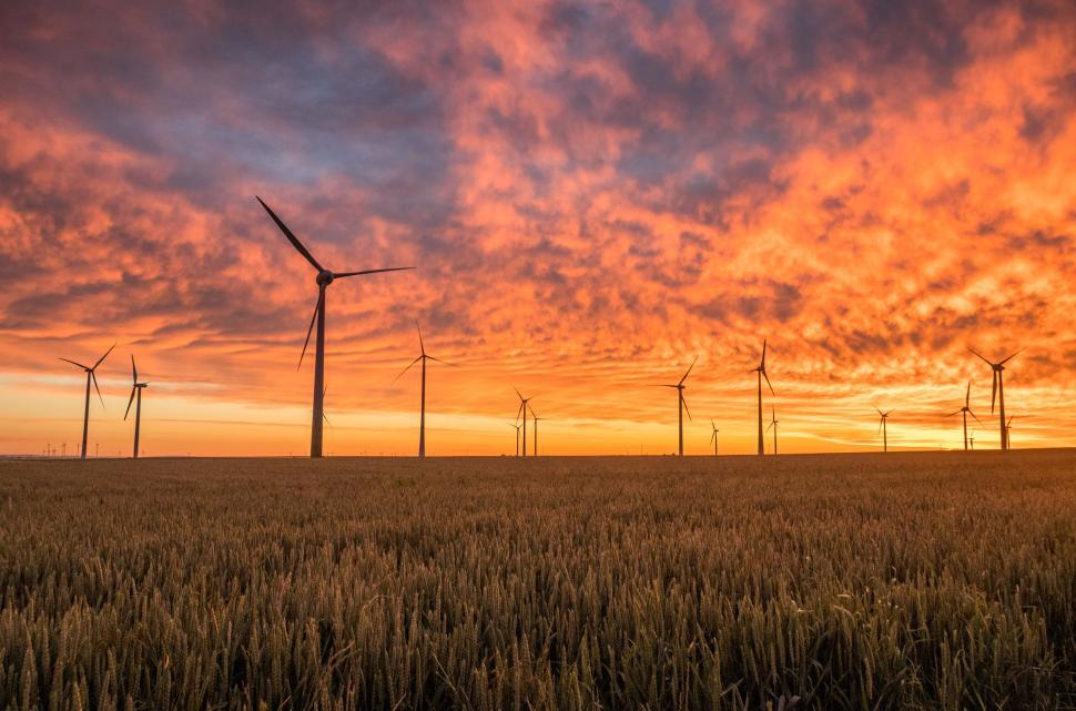 Free Image of Field of wind turbines under a vibrant orange and purple sunset sky. 