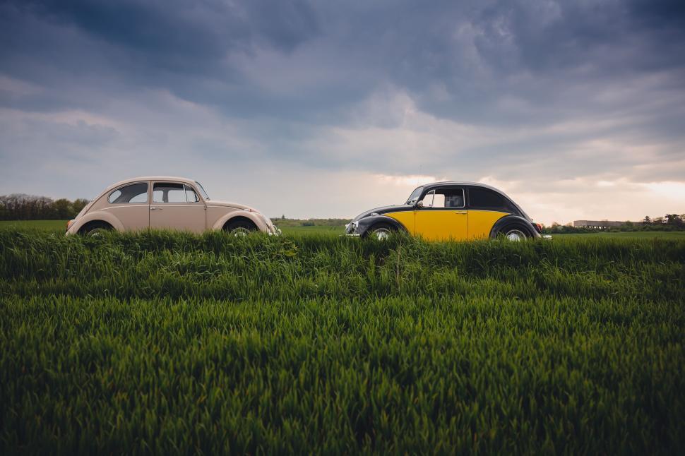 Free Image of Vintage cars on a scenic field under a dramatic cloudy sky 