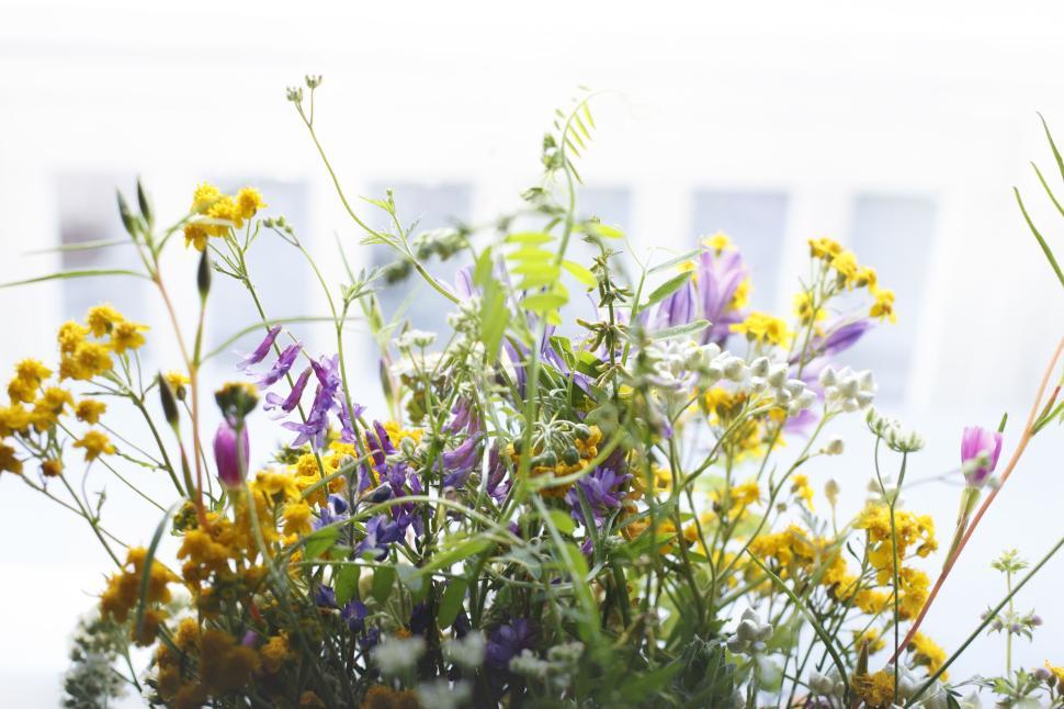 Free Image of Bouquet of colorful wildflowers arranged gracefully in natural light 