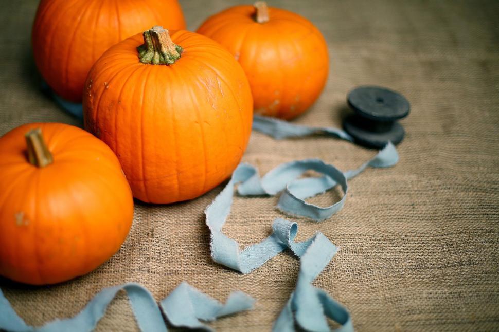 Free Image of Four bright orange pumpkins with blue ribbon on burlap surface 