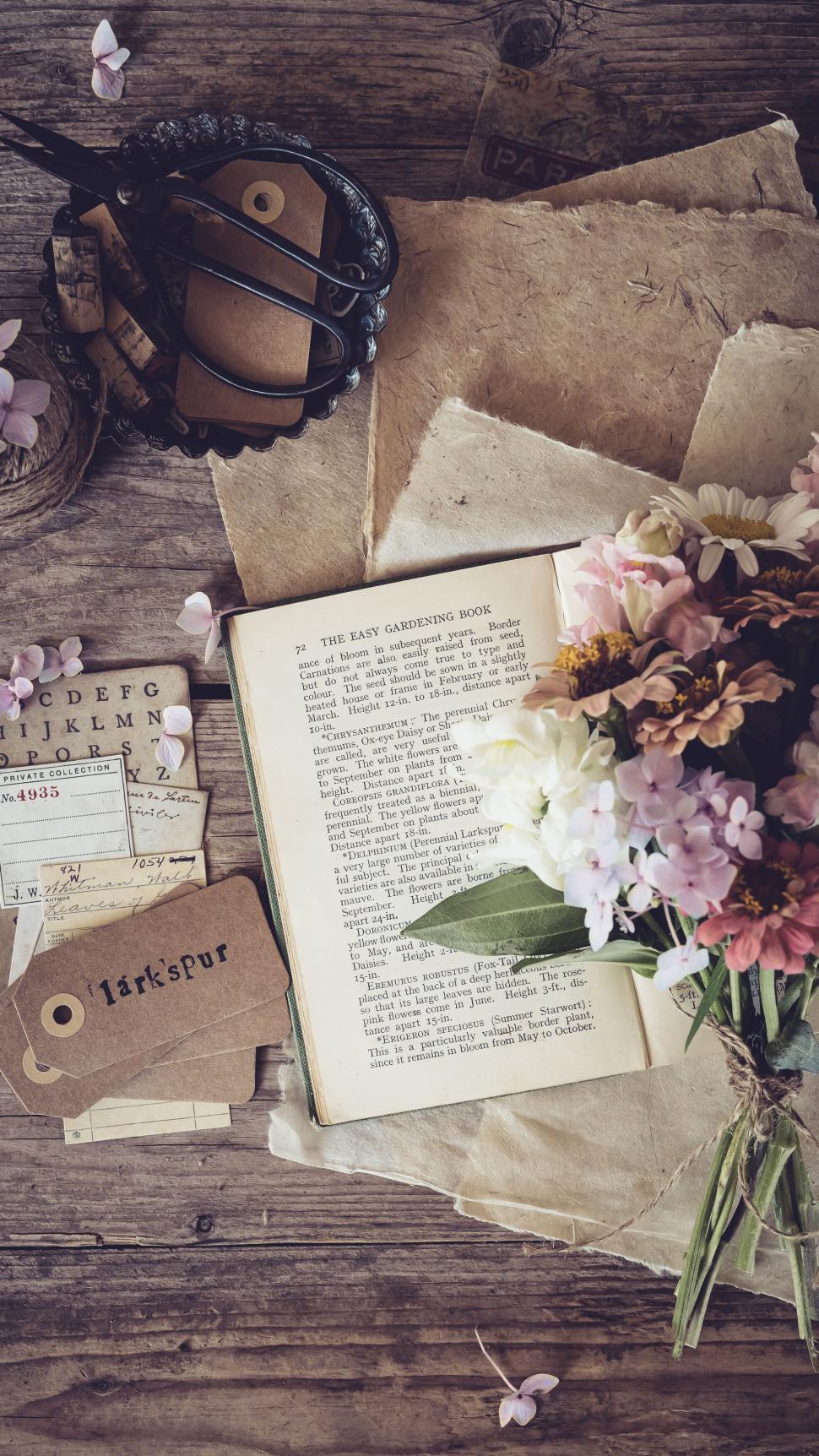 Free Image of Larkspur flowers and antique gardening book on vintage papers 