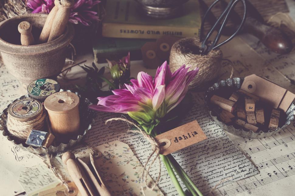 Free Image of Vintage crafting supplies on a desk with a single dahlia flower 