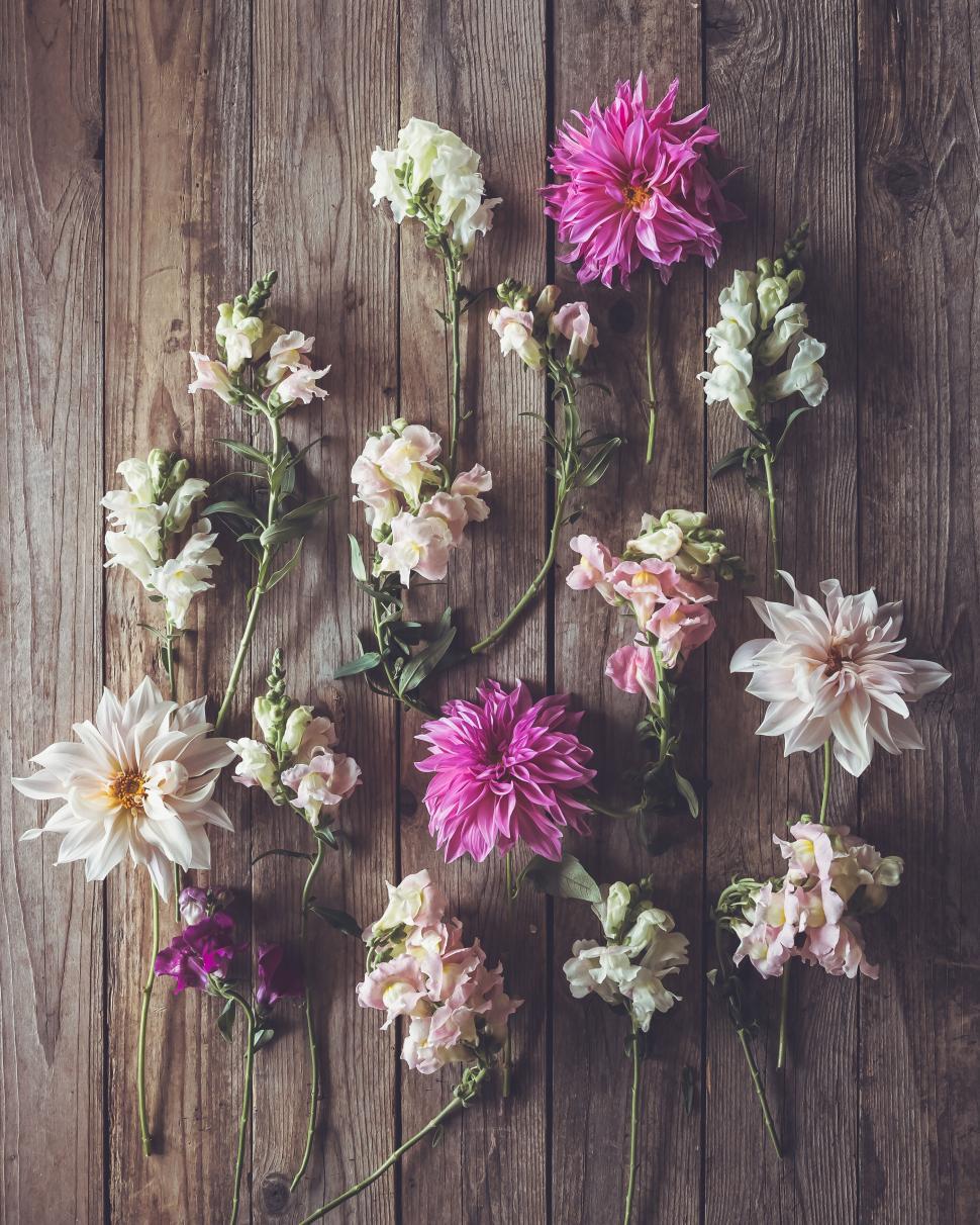 Free Image of Colorful flowers arranged on rustic wooden background, tranquil beauty. 