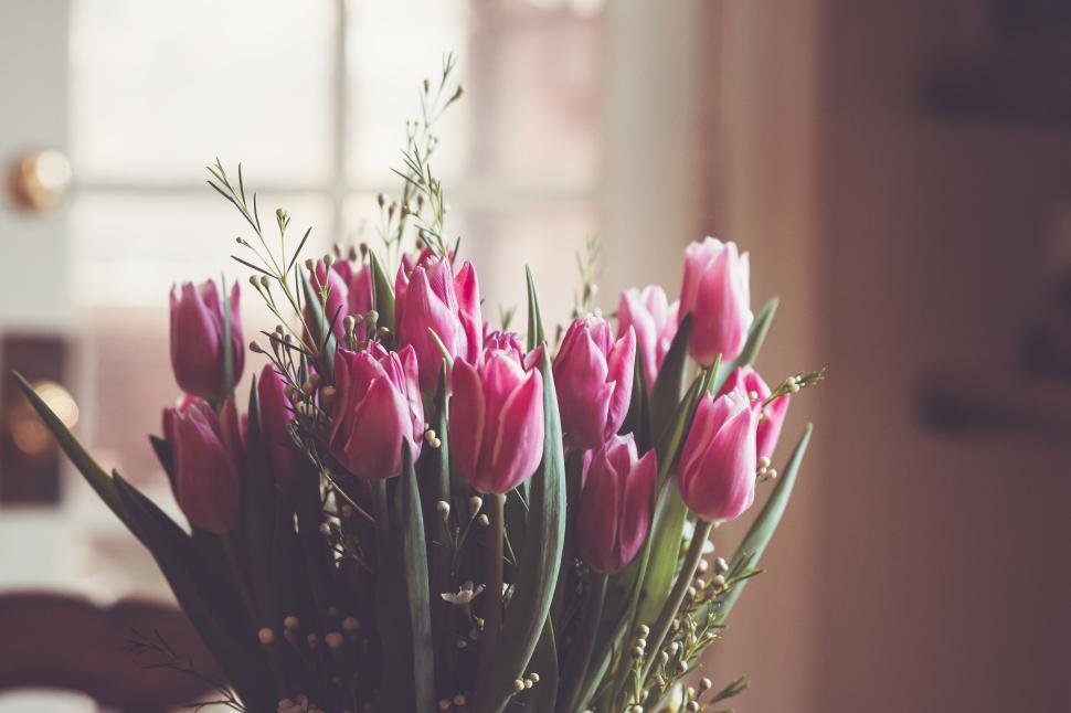 Free Image of Bouquet of pink tulips in a vase with soft indoor natural lighting. 
