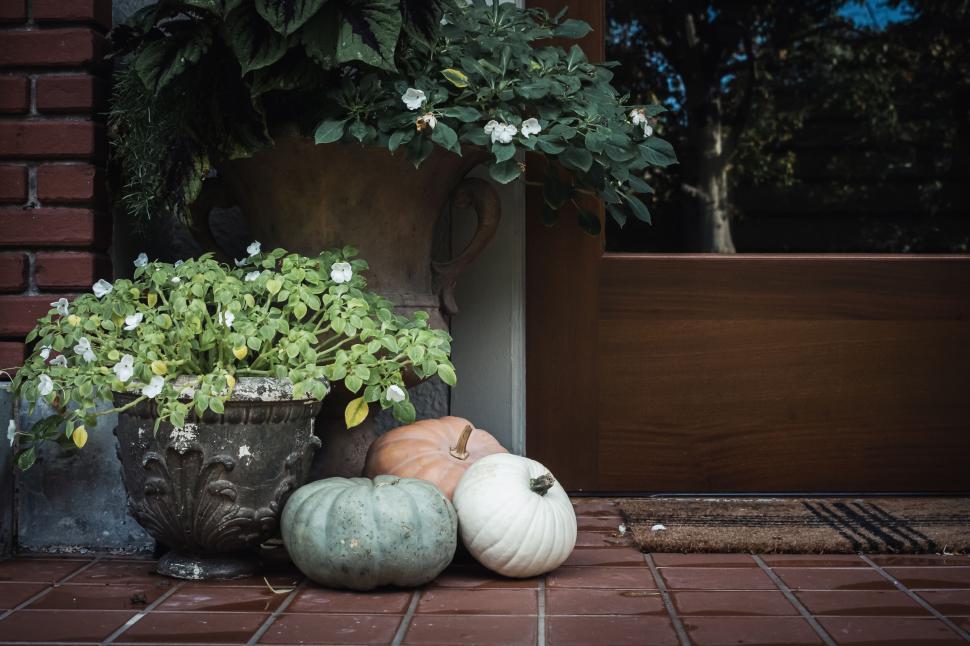 Free Image of Front porch with fall decor, featuring pumpkins and potted plants 