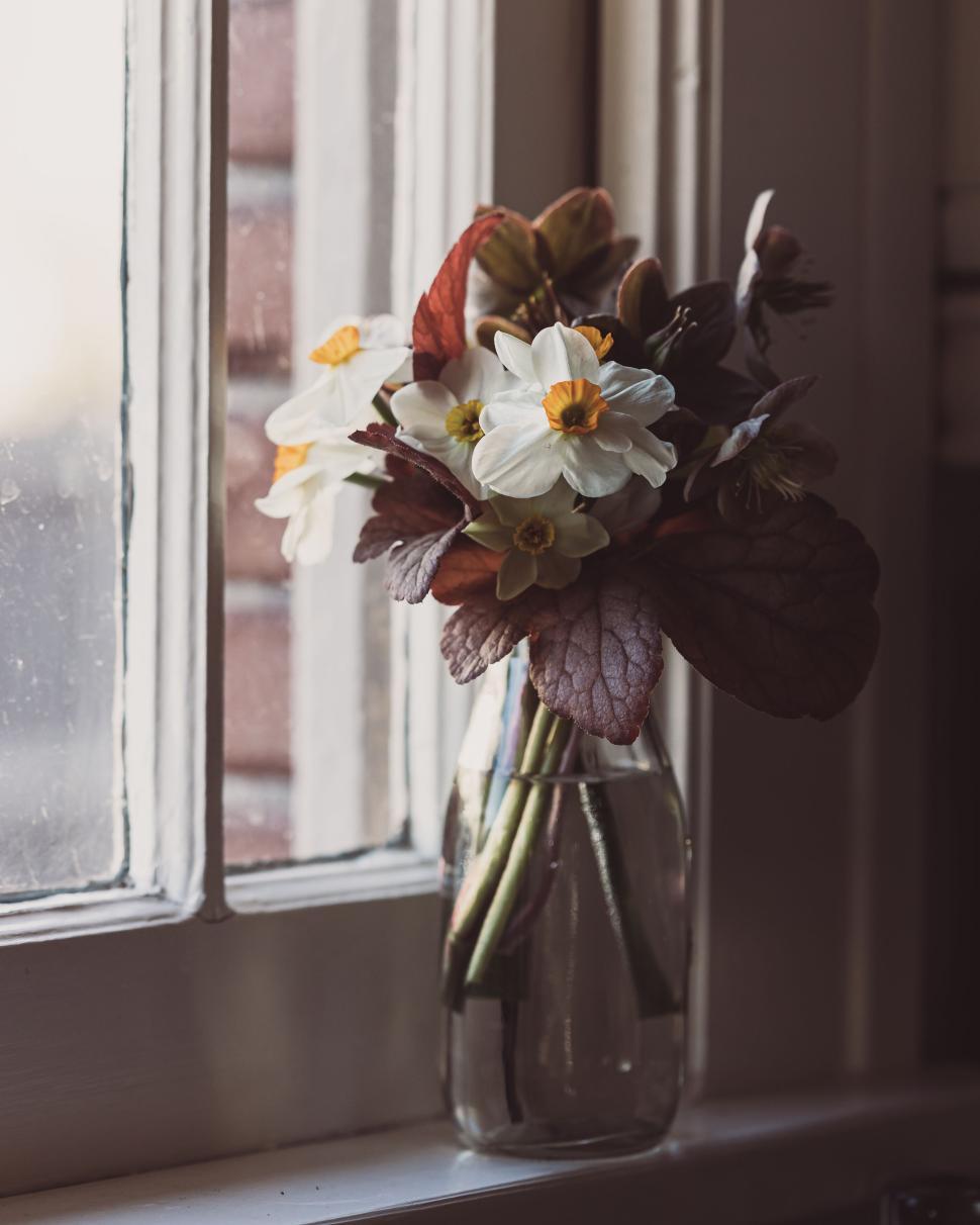 https://freerangestock.com/sample/176632/sunlit-vase-of-white-flowers-sits-gracefully-on-a-windowsill.jpg