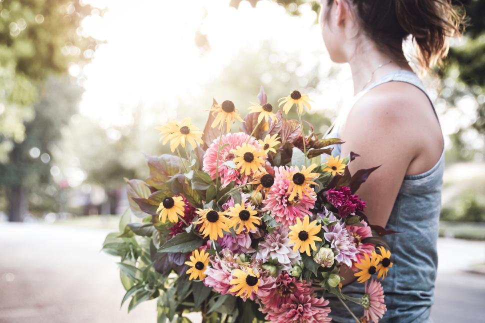 Free Image of Person holding a large bouquet of colorful flowers in the sunlight outdoors. 