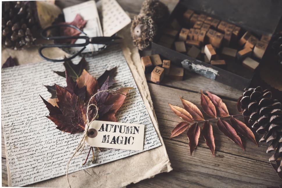 Free Image of Artistic autumn-themed arrangement with leaves and rustic items 