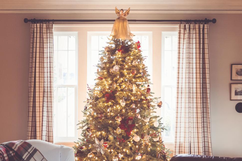 Free Image of Decorated Christmas tree with lights in cozy living room interior 