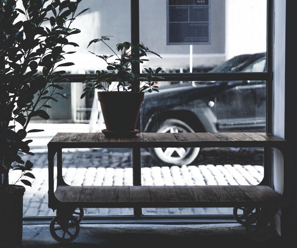 Free Image of Potted plant on a wooden table near a bright window 