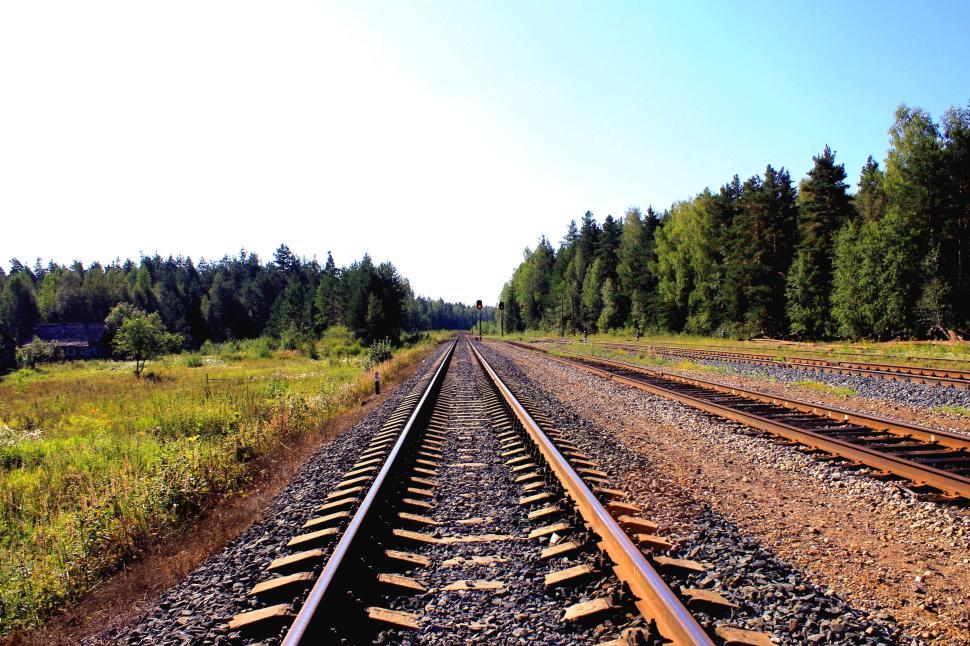 Free Image of Stretch of railway tracks extending into the horizon in a rural area. 