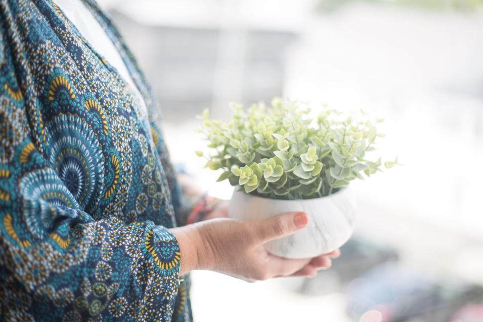 Free Image of Person holding a potted plant near a bright window with blurred background 