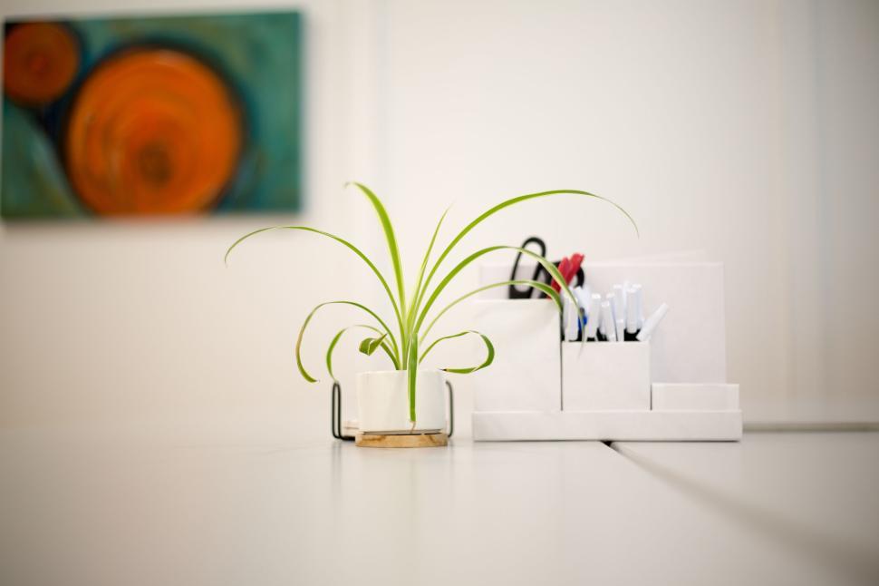 Free Image of Modern office desk with plant, pens, and colorful artwork 