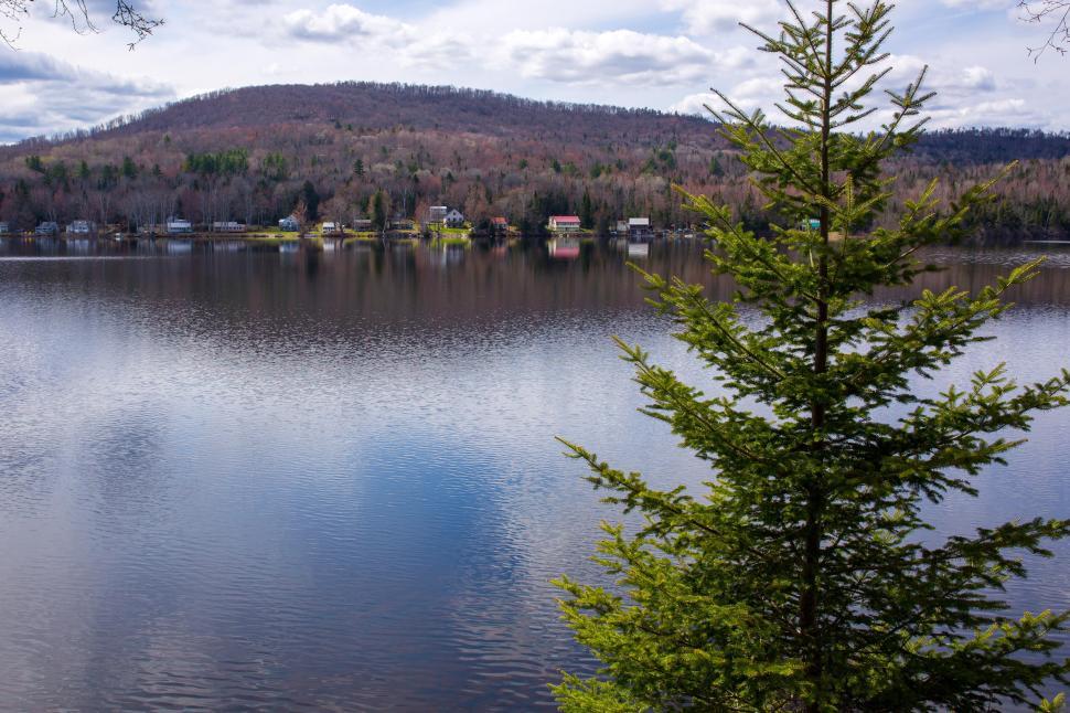 Free Image of Scenic lake view with pine tree foreground and mountains background. 