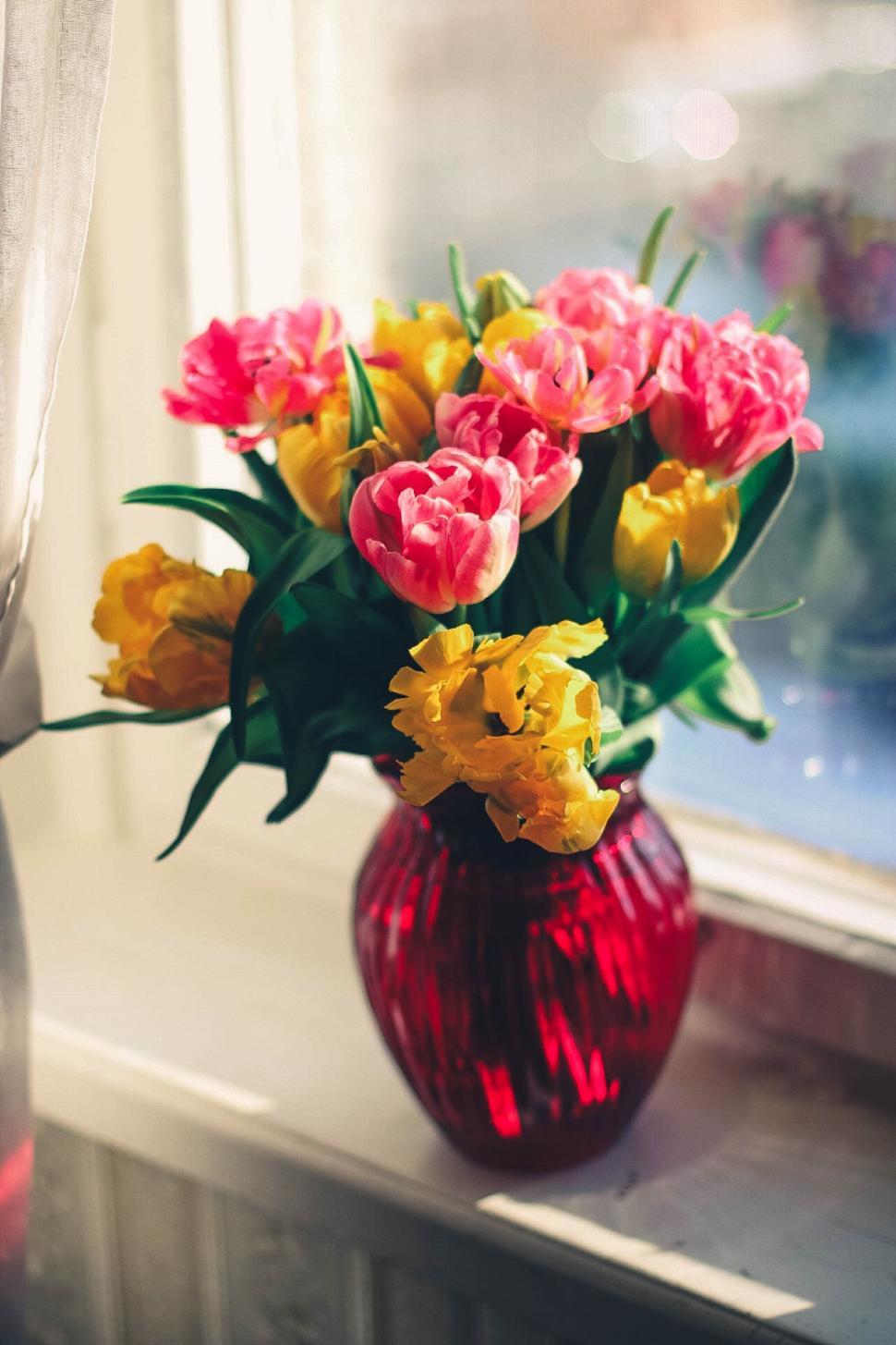 Free Image of Colorful bouquet of tulips in a bright red vase on a windowsill 