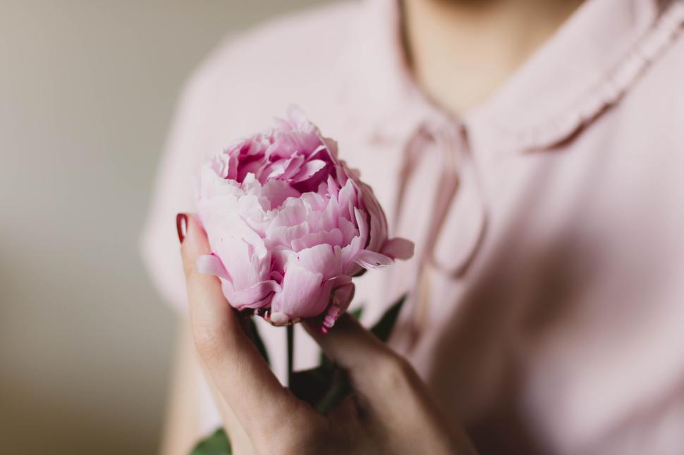 Free Image of Person holding a pink flower with a pink shirt background scene. 