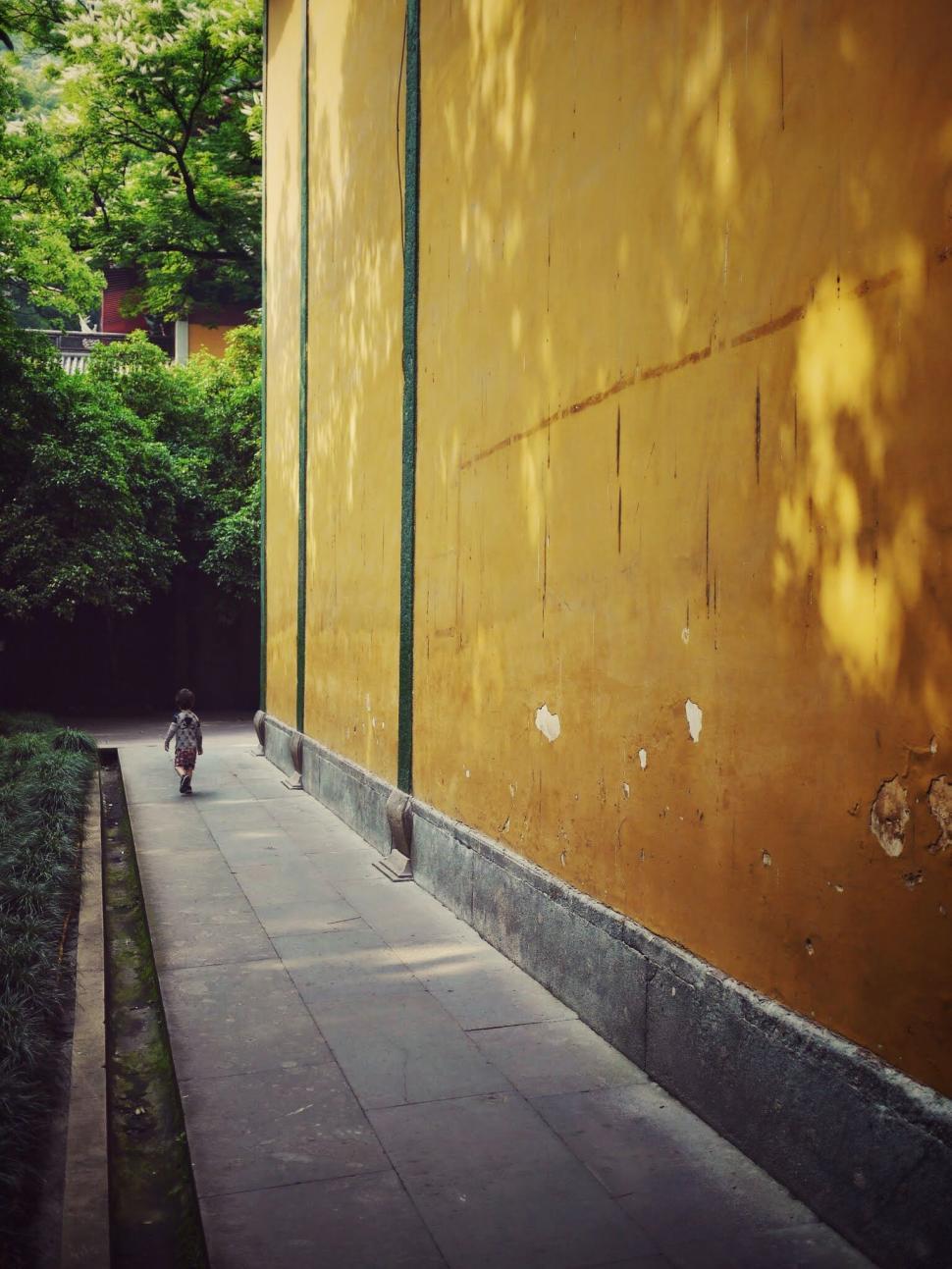 Free Image of Narrow alleyway beside a yellow wall with dappled sunlight and greenery 