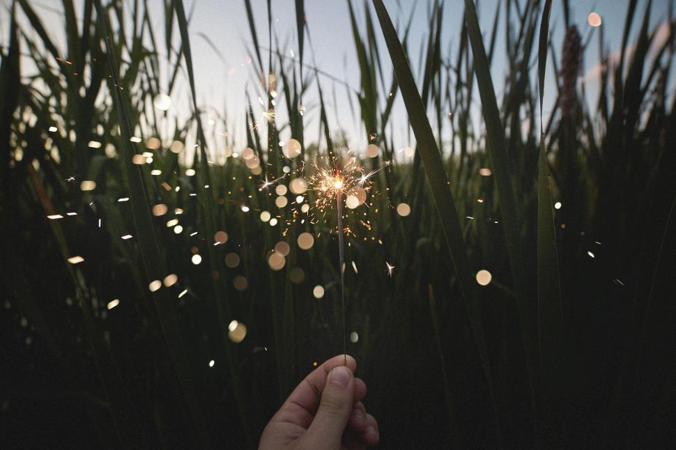 Free Image of Hand holding a glowing sparkler amidst tall grasses at dusk 