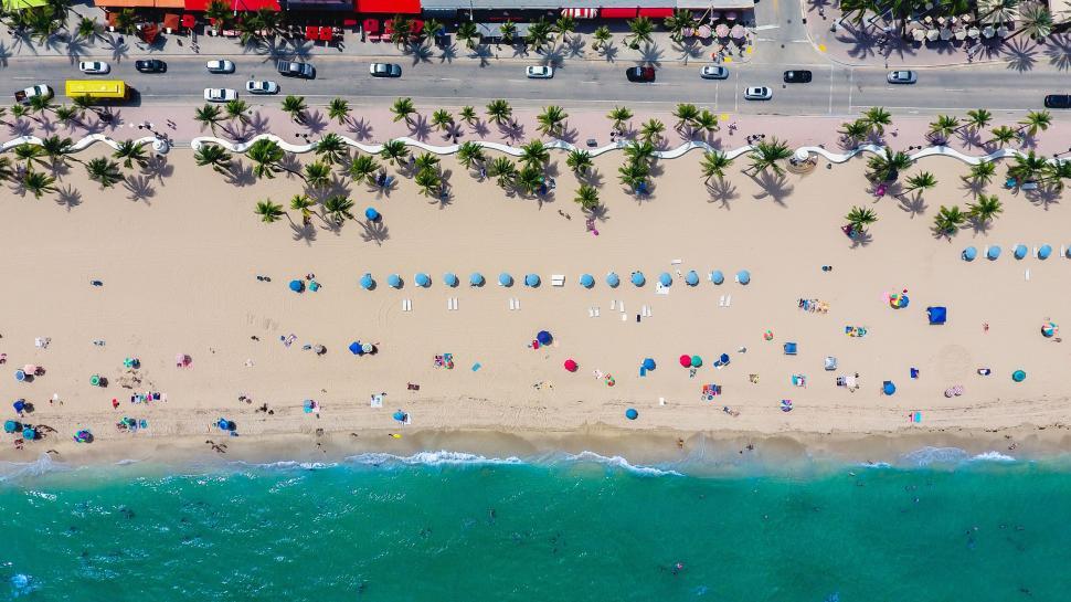 Free Image of Aerial view of palm beach with umbrellas, ocean, and shorefront road 