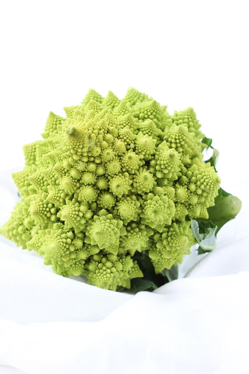 Free Image of Close-up image of a vibrant green Romanesco cauliflower 