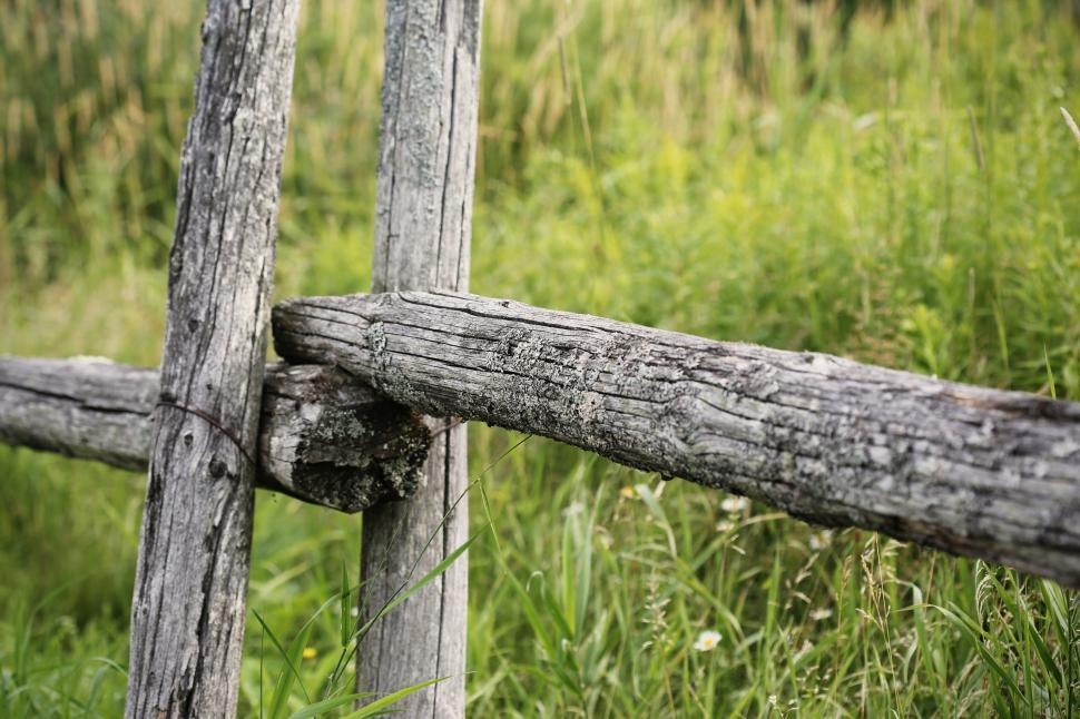 Free Image of Aged wooden fence with lush green background in rural setting 