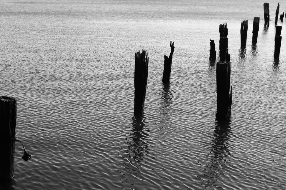 Free Image of Wooden remnants in water, a black and white tranquil scene. 