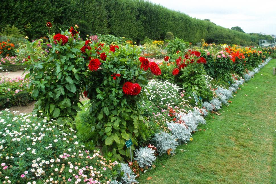 Refreshed Blooming Flowers Garden Joyful In The Riverside In