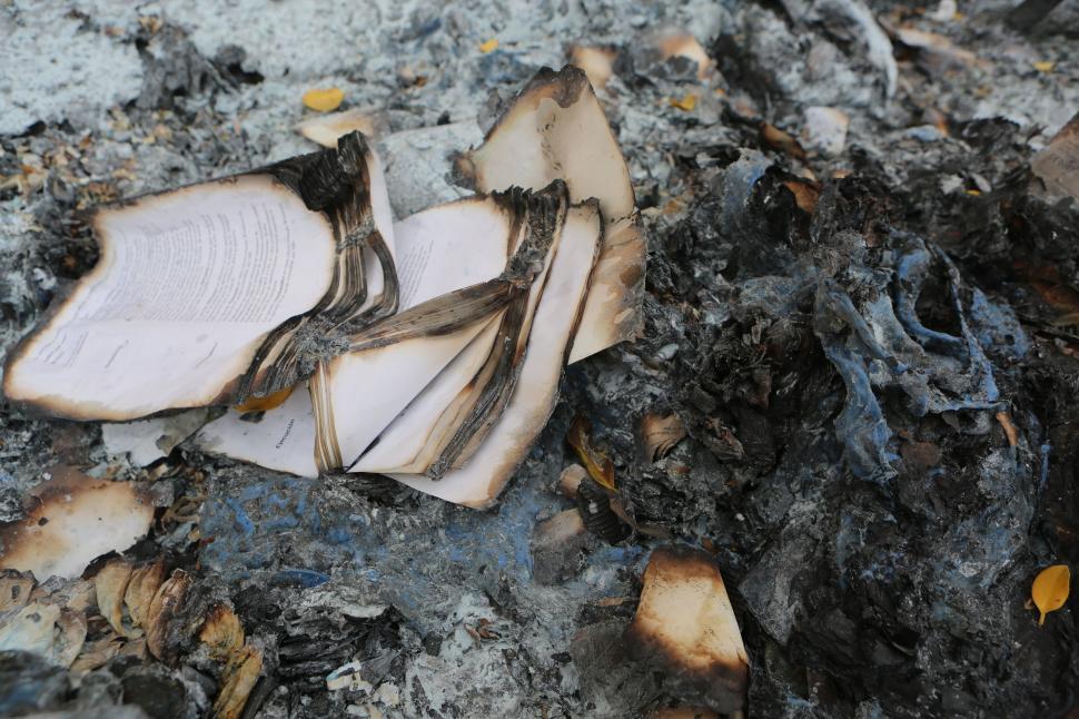 Free Image of Burned and charred pages of a book among ashes 