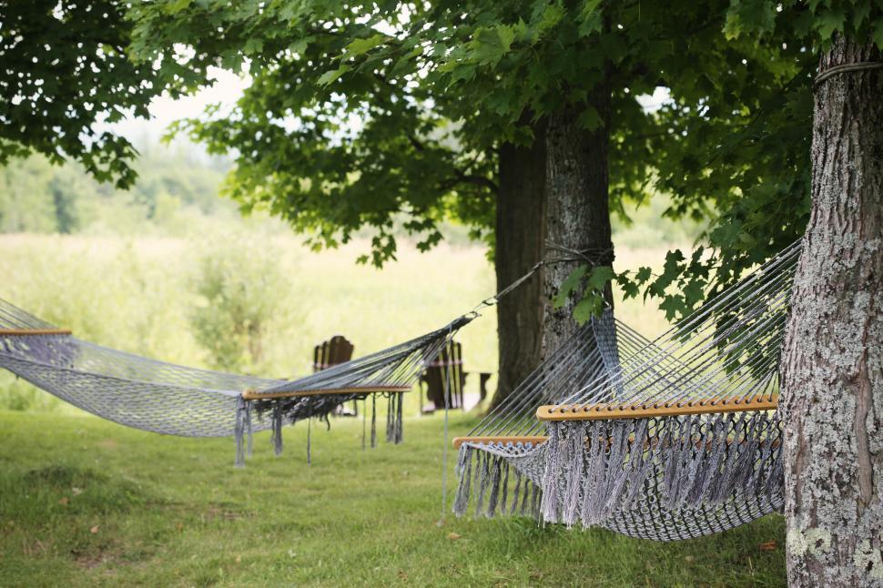 Free Image of Cozy hammocks strung between trees in peaceful outdoor setting. 
