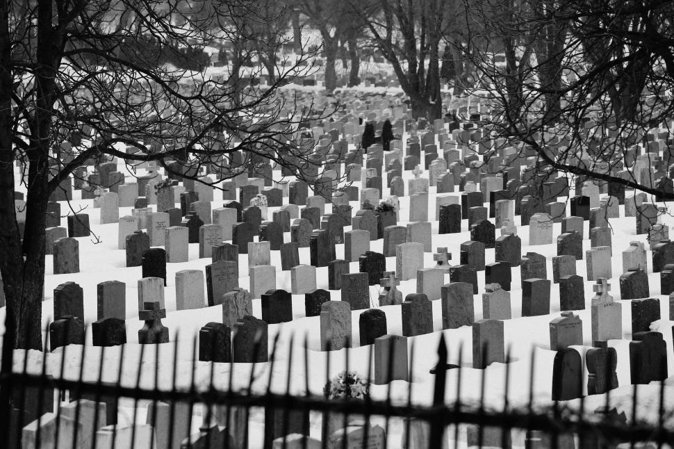 Free Image of Black and white cemetery with rows of tombstones in winter. 