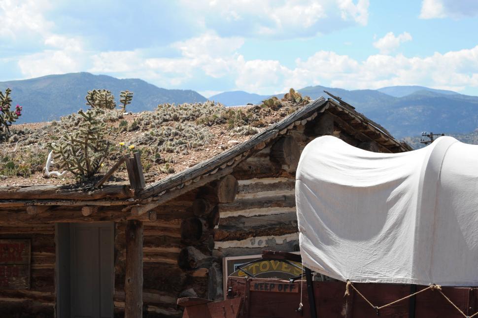 Free Image of Cacti filled roof 