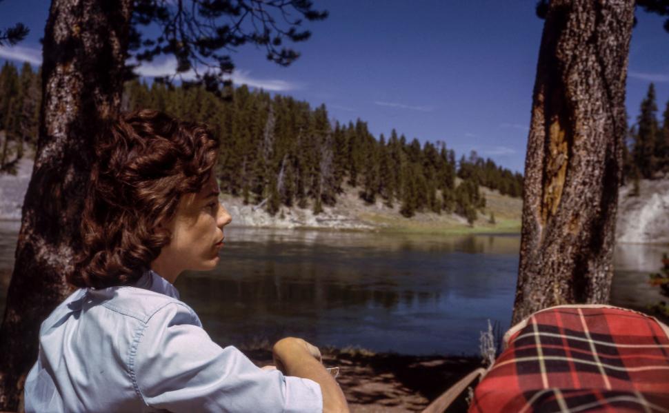 Free Image of Woman gazing at scenic lake view surrounded by trees 