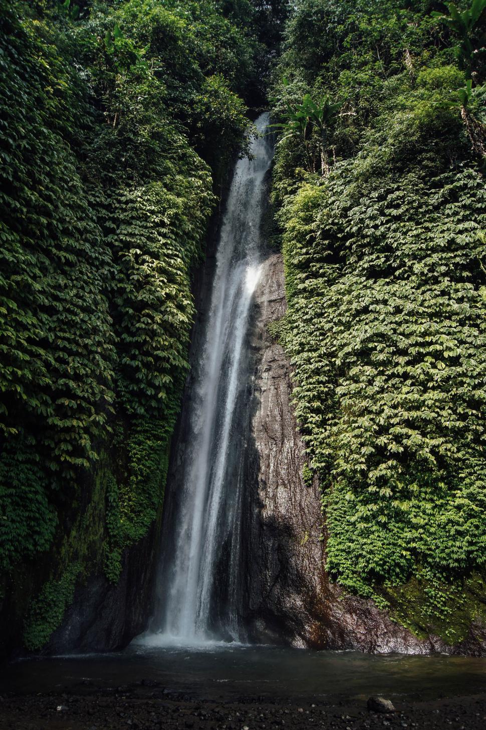 Free Image of Tall, cascading waterfall surrounded by lush, vibrant greenery falls. 