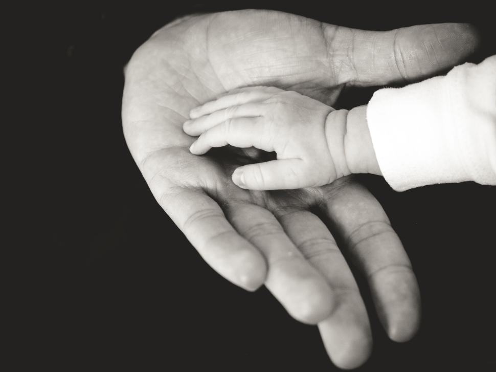 Free Image of Adult hand gently holding a newborn baby s hand, black-and-white photo 