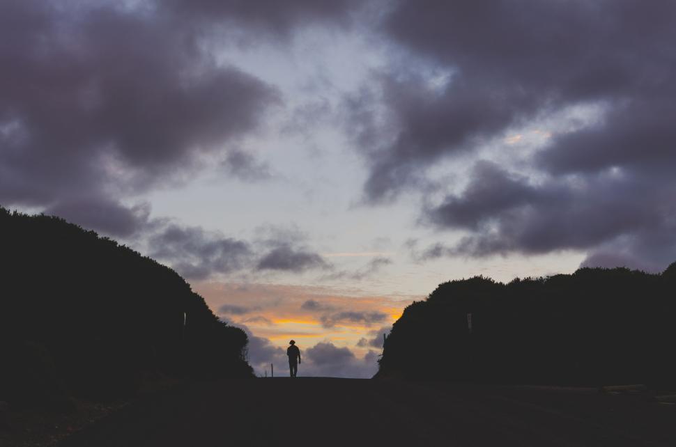 Free Image of Silhouette of a person standing on a path at twilight near trees. 