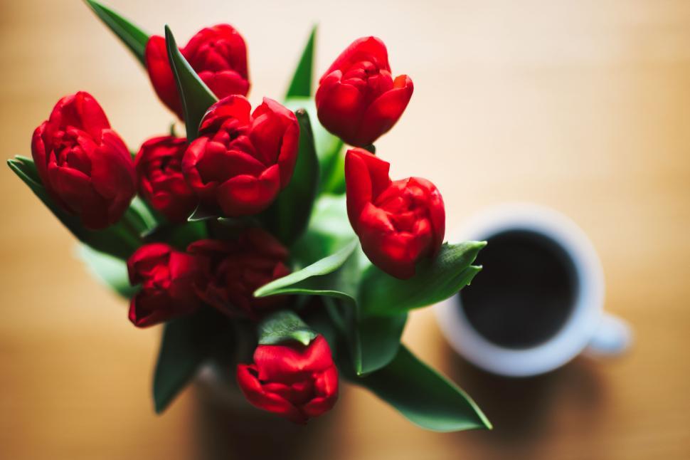 Free Image of Close-up of red tulips with coffee cup on wooden table surface. 