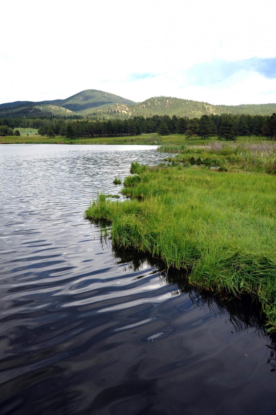 Free Image of Lake and marsh 