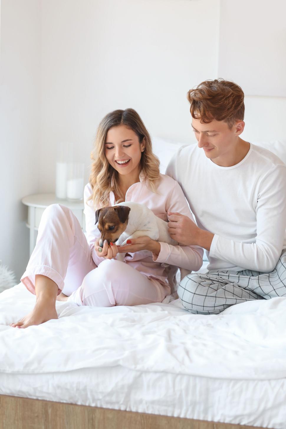 Free Image of A couple with their puppy seated on a white bed 