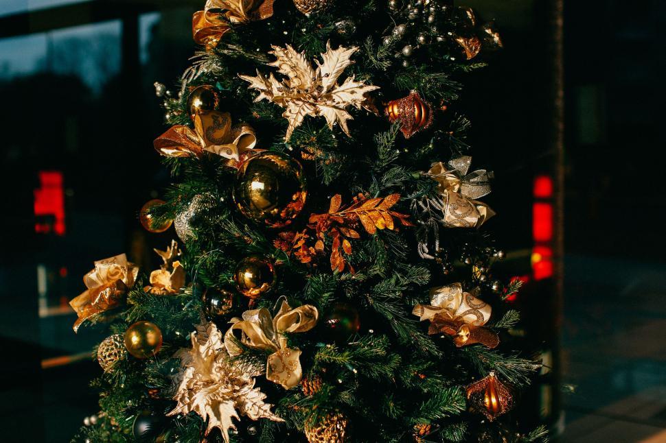 Free Image of Christmas tree adorned with ornaments and festive decorations indoors. 