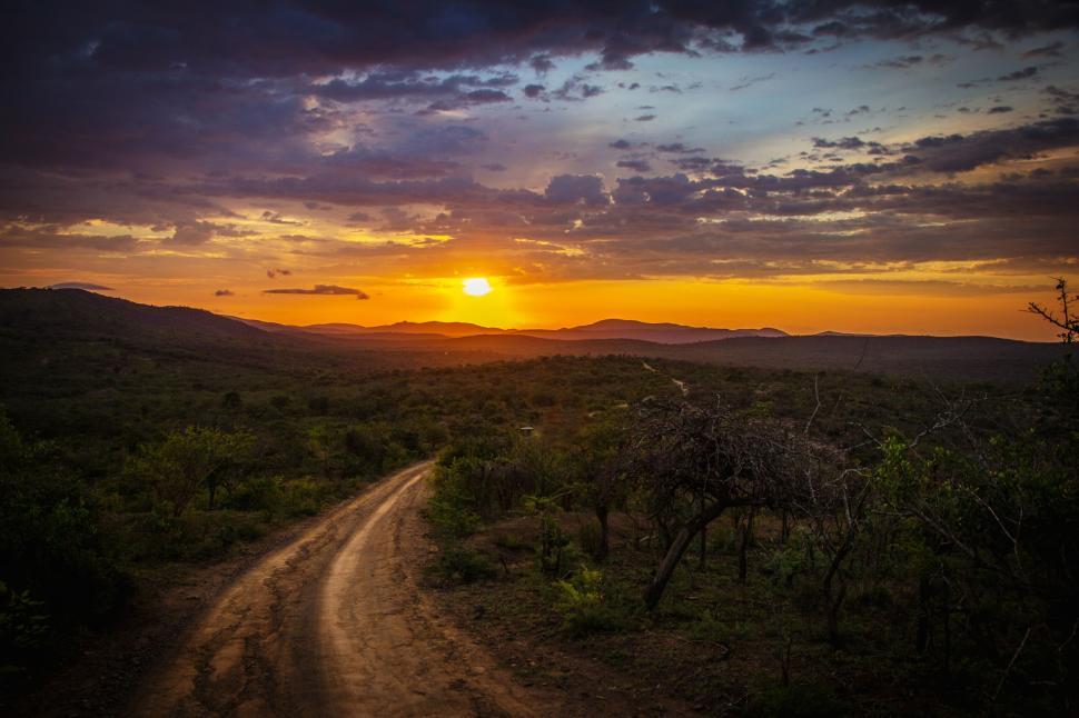 Free Image of Winding dirt road through tranquil green landscape at twilight 