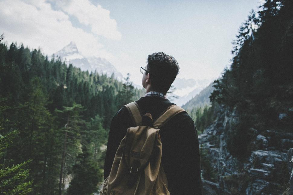 Free Image of Man hiking through a forest gazing at a distant snow-capped mountain. 