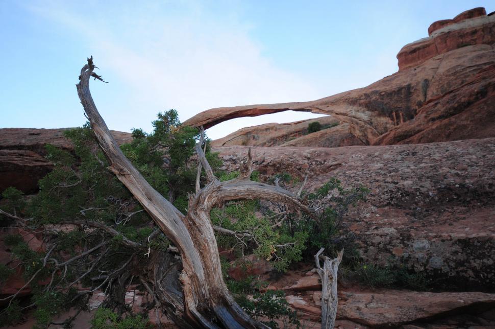 Free Image of Natural arch and wood 