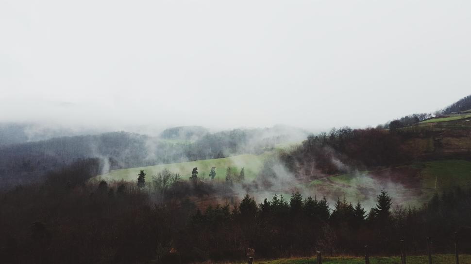 Free Image of Misty rolling hills with sparse trees under a gloomy sky 